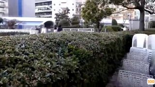 V888JAV浪人生の教え子に寝盗られた家庭教師の妻 三浦恵理子-名人百科网